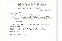 山菊藏品圖，第2張