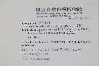 小錦蘭藏品圖，第2張