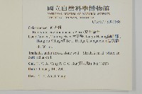 交趾衛矛藏品圖，第5張