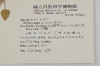 鵝兒腸藏品圖，第2張