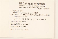 銀膠菊藏品圖，第2張