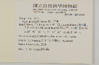 絨山白蘭藏品圖，第2張