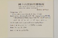 茯苓菜藏品圖，第2張