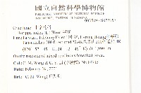 葶藶藏品圖，第2張