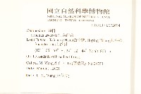 苦苣菜藏品圖，第2張