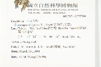 臭濱芥、臭薺藏品圖，第2張