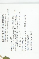 黑果馬交兒藏品圖，第2張