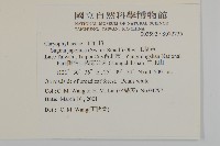 瓜槌草、漆姑草藏品圖，第2張