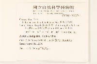 粗毛小米菊藏品圖，第2張