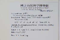 武靴藤藏品圖，第2張