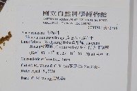 黃連木、爛心木藏品圖，第2張