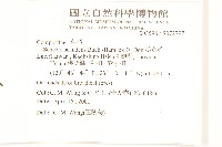 蔓黃菀藏品圖，第2張