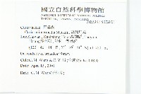 臺灣馬桑藏品圖，第2張