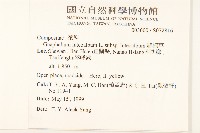 絲綿草藏品圖，第2張