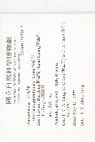 裂緣花藏品圖，第2張