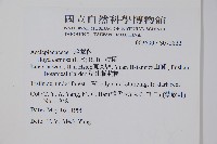 毬蘭藏品圖，第2張