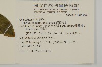 佩羅特木藏品圖，第2張