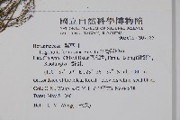 臺灣附地草藏品圖，第2張