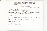 雙花龍葵、耳鉤草藏品圖，第2張