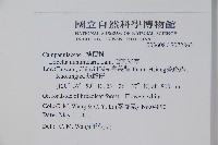 普刺特草藏品圖，第2張