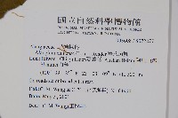 華八角楓藏品圖，第2張