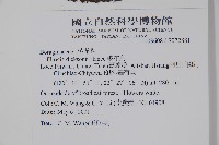 破布烏藏品圖，第2張