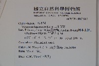 呂宋莢迷藏品圖，第2張