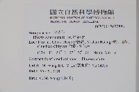 厚殼樹藏品圖，第2張