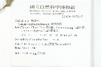 臺灣馬桑藏品圖，第2張