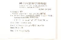 蔓黃菀藏品圖，第2張