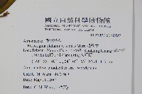 瓜馥木藏品圖，第2張