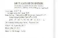 葶藶藏品圖，第2張