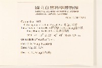 粗毛小米菊藏品圖，第2張