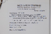 臺灣絡石藏品圖，第2張