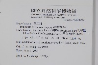 臺灣附地草藏品圖，第2張