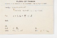 野牽牛藏品圖，第2張