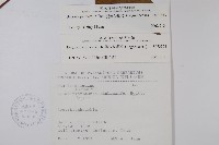 裂葉秋海棠藏品圖，第2張