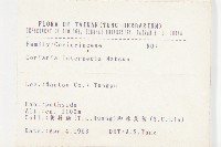 臺灣馬桑藏品圖，第2張