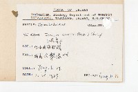 白花牽牛藏品圖，第2張