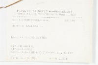 紅花野牽牛藏品圖，第2張