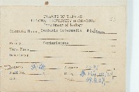 臺灣馬桑藏品圖，第2張