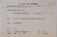 蘭嶼牛皮消、蘭嶼白薇藏品圖，第2張