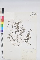 登錄號:S073447藏品圖，第1張