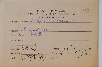 尖尾鳳、馬利筋藏品圖，第2張