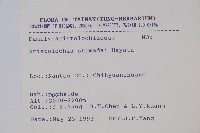 臺灣馬兜鈴、痢藥草藏品圖，第2張