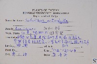 鵝掌柴、江某、鴨腳樹藏品圖，第2張