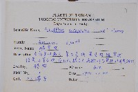 鵝掌柴、江某、鴨腳樹藏品圖，第2張
