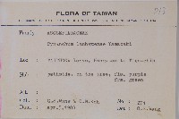 蘭嶼牛皮消、蘭嶼白薇藏品圖，第2張