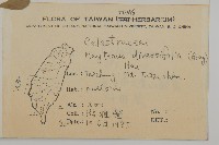 北仲, 刺裸實藏品圖，第2張