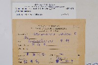 蓮子草藏品圖，第2張